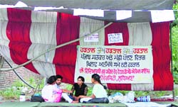 Students of the Fishery Department protest outside Gate No. 5 in Ludhiana. Tribune Photo: Himanshu Mahajan