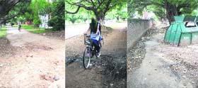 (From left) Cycle tracks in Sectors 7, 19 and 20 in Chandigarh are in bad shape and need urgent repairs. Photos by the writer