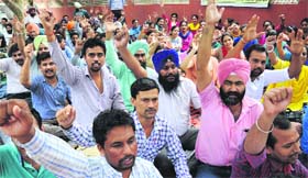 Members of the Contractual Employees Association of the Water Supply and Sanitation Department stage a protest in Mohali on Thursday.