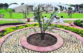 The Garden of Palms in Sector 42, Chandigarh.