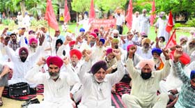 Members of the Punjab Kisan Sabha protest against the state government outside the DC office in Amritsar on Friday.