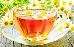 Chamomile,a herb, has a sedating effect
