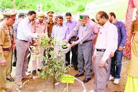 Forest Minister TS Bharmouri plants a sapling near Karian in Bharmour on the bank of the Ravi on Saturday