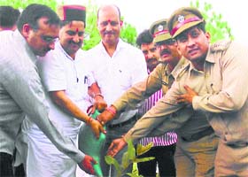 KS Pathania, Vice-Chairman, HP Forest Corporation, launches a plantation drive at Drehni in Kangra on Sunday