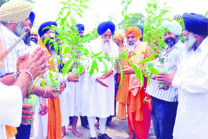 Gurbachan Singh, Jathedar of Akal Takht, along with enviromentalist Balbir Singh Seechewal during a tree plantation drive at Sultanpur Lodhi in Kapurthala district on Sunday.