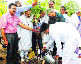 Industries Minister Mukesh Agnihotri plants a sapling at Palkwah village in Una on Monday.