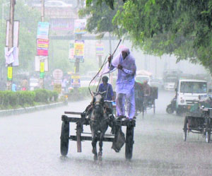 A horsecart driver braves the rain in Karnal on Tuesday. The sharp showers brought relief to farmers as paddy saplings have been wilting due to poor rains. Experts have forecast heavy rainfall in the coming days.