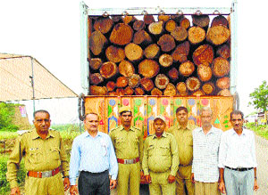 Forest Department staff with one of the confiscated trucks at the forest police post in Tatehra village.