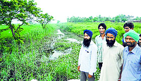 Villagers show a polluted nullah near Marewal village. The have blamed discharge of effluents into the nullah for cancer deaths in their village.