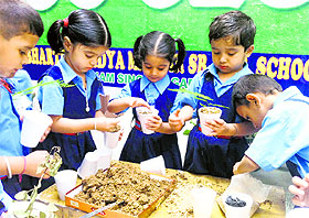 children take part in a plantation drive at BVM, Shishu Vatika, Cemetery Road