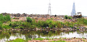 Garbage dumped at the Industrial Area in Sector 74, Mohali.