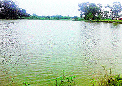 One of the ponds at Pubowal village in Una district