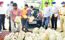 Narcotic Control board officials with heroine at Baliyali village in Mohali on Thursday. Tribune photo: Vicky Gharu