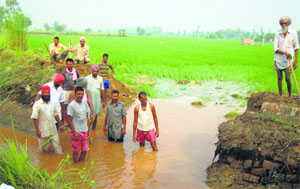 A channel breach near Channuwala village in Moga district on Thursday.