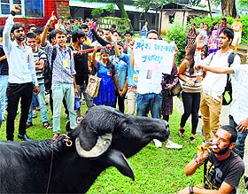 ABVP activists protest at Government College in Dharamsala on Friday.