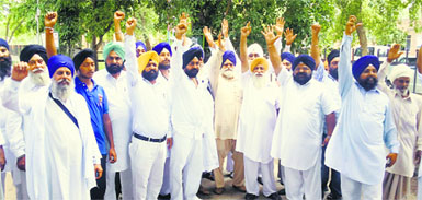 Members of the HSGMCs youth wing protest against the SGPC in Karnal on Friday