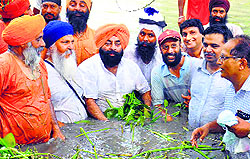 Deputy Commissioner DS Mangat, chairman of the District Planning Committee Sarabjit Makkar and environmentalist Balbir Singh Seechewal stand amid growth in the Kali Bein as a part of cleanliness drive in Kapurthala on Friday