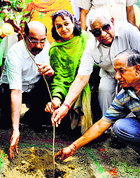 Forest Minister Bhagat Chunni Lal plants a sapling on the campus of Dr BR Ambedkar National Institute of Technology in Jalandhar on Friday
