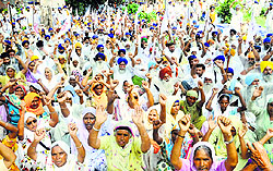 Farmers protest in Amritsar on Friday