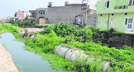 The covered Tung Dhab drain on which rain water is seen accumulated in Amritsar on Saturday.