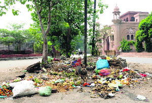 Heaps of trash lying at the historic Company Bagh and the Ram Bagh areas in Amritsar