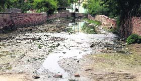 A road in a deplorable condition at Lal Singh Basti in Bathinda.