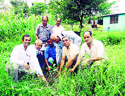 Members of the Animal Husbandry Department plant a sapling of dheu (artocarpus lakoocha) at Baroh on Saturday