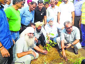 AAP activists plant saplings in Ludhiana.