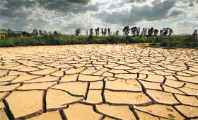 Haryana, Punjab saw poor monsoon this year so far.