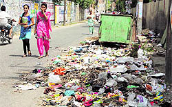 A view of heap of garbage lying on the road in Bathinda on Tuesday
