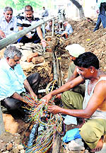 BSNL employees carry out repair work in Sector 19, Chandigarh, on Wednesday