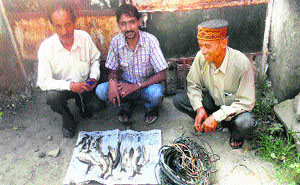 Team members with recovered dead fish and wires at Pahnala in the Beas tributary on Tuesday.