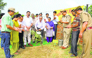 District and Sessions Judge CL Kochar (in white shirt) plants a sapling at the Lamlehri Government High School in Una on Wednesday. 