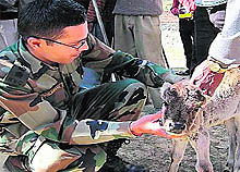 The Army reaches out to the needy under its Operation Sadbhavana in Srinagar
