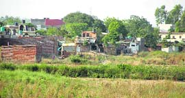 People have encroached on the tangri riverbed in ambala.