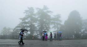 People walk with umbrellas during heavy showers in Shimla on Thursday.