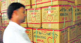 Apple cartons have flooded the Bhatta Kufer fruit market in Shimla.