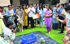 KVM representatives give demonstration about plant growth promoter solution during organic kitchen garden workshop in Jalandhar.