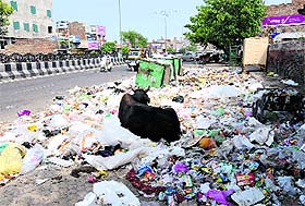 Heaps of garbage dumped on GT Road in Bathinda.