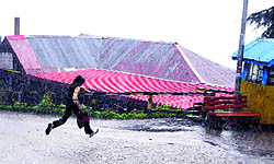 A man runs for shelter during heavy rain in Shimla on Friday