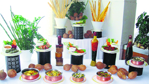 Coastal Food Festival at Hometel, Chandigarh