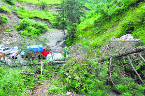 A car buried under debris and a tree after a landslide near Shimla on Sunday. 