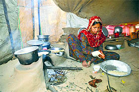A woman makes chapatis in a makeshift tent at Avend village in Shopian area of south Kashmir on Monday.