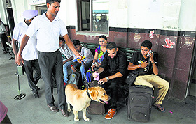 The police check the luggage of passengers at the Ludhiana railway station on Tuesday. 