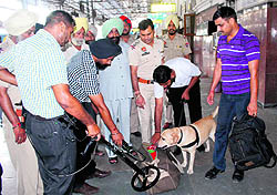 Dog squads pressed into service during a search operation at the railway station