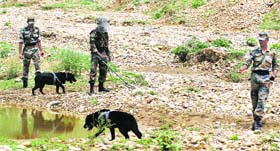 Army personnel clear the Kalith firing range of unexploded shells in the Akhnoor subdivision of Jammu district.