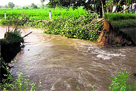A view of the breach in Teon minor of Sirhind Canal. 