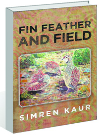 Fin Feather and Field