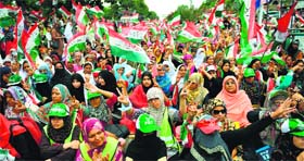 Supporters of Qadri wave their party flags against the country's Pakistan Muslim League-Nawaz-led government.