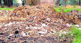 Garbage dumped at the historic palace in Amritsar